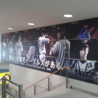 すーすけ (@dsuese48) 's Twitter Profile