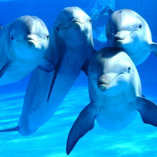 FILOSMEDIRMB's profile picture. 