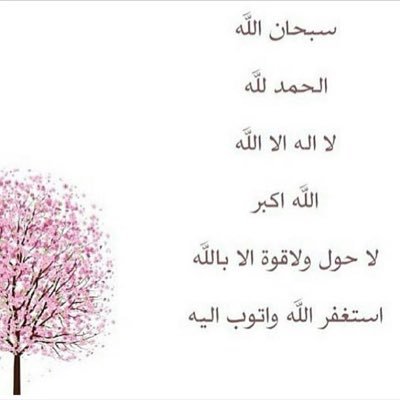 اللهم أسكن موتانا الفردوس الأعلى .