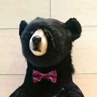 えむ (@_m_8150_) 's Twitter Profile