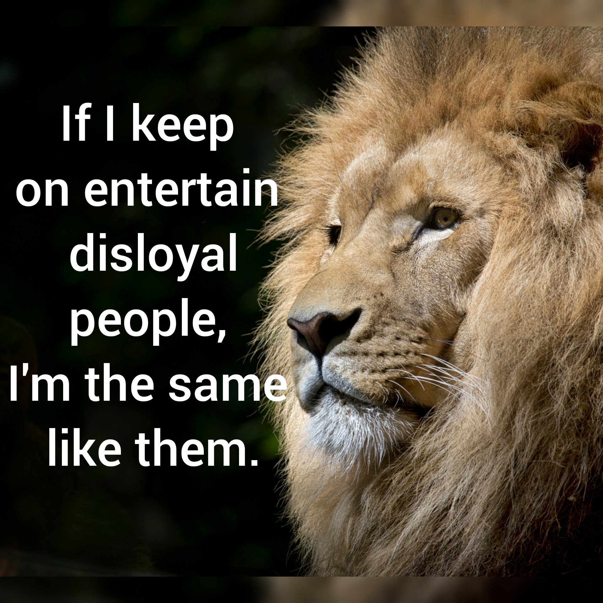 persanall's profile picture. 