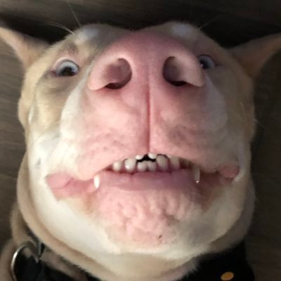 huffysr's profile picture. I go to Church.