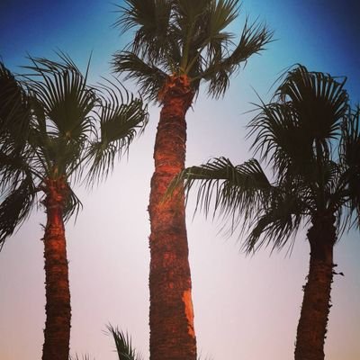 cyprus_delight's profile picture. A student of life. Knowledge is power 💪🏼