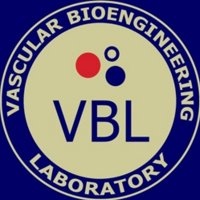 Vorp Lab(@PittVbl) 's Twitter Profile Photo