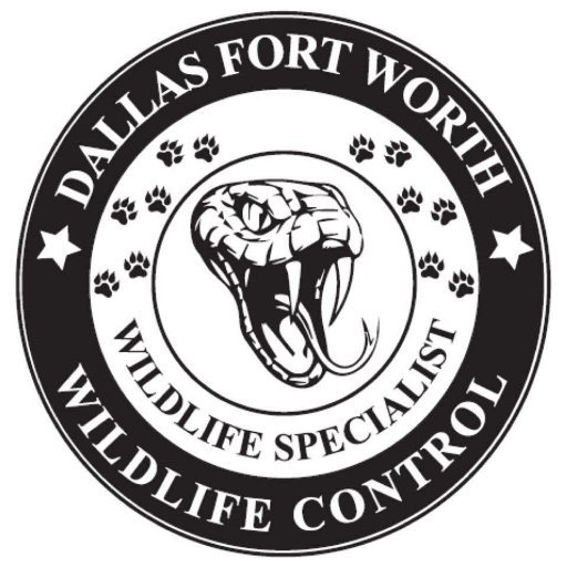At Dallas Fort Worth Wildlife Control our goal is to provide cost effective nuisance wildlife control while going above and beyond our customers’ expectations:)