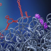 storzlab (@storzlab) 's Twitter Profile