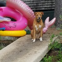 Deb Clapp (she/her/hers) (@debclapp1) 's Twitter Profile