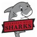 SheridanHillSharks (@sheridanhillsh1) Twitter profile photo SheridanHillSharks (@sheridanhillsh1) Twitter profile photo