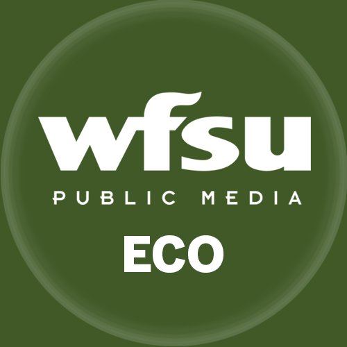 WFSU Public Media producer Rob Diaz de Villegas explores natural north Florida, from the deepest forest and remotest river to the backyard ecosystem.