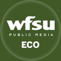 WFSU Ecology Blog (@wfsuigor) 's Twitter Profile Photo WFSU Ecology Blog (@wfsuigor) 's Twitter Profile Photo