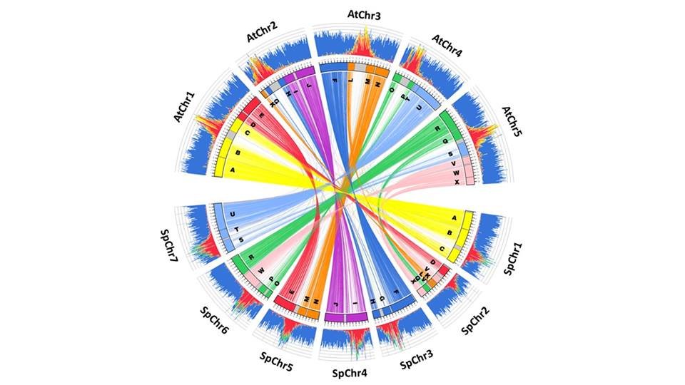 DassanayakeLab's profile picture. 