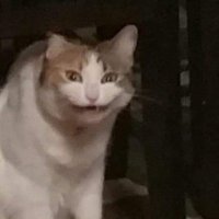 JkNoise! (@jknoise) 's Twitter Profile