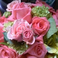 AnnaDixonMMS (@dixonmms) 's Twitter Profile Photo