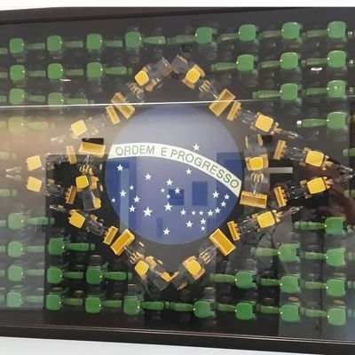 Brasileiro, Casado, Direita, Armamentista,  Administrador, em busca de um Brasil melhor para todos nós