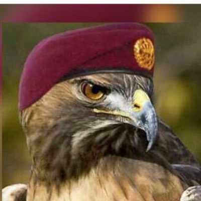 GAlighamdi7's profile picture. إنسان بسيط يحب الجميع وقلبه أخضر ،،، علمتني الحياة أن أتمنى الخير للجميع دون استثناء ؛ فسعادة الآخرين لن تأخذ من سعادتي شيء بل تزيد ؛