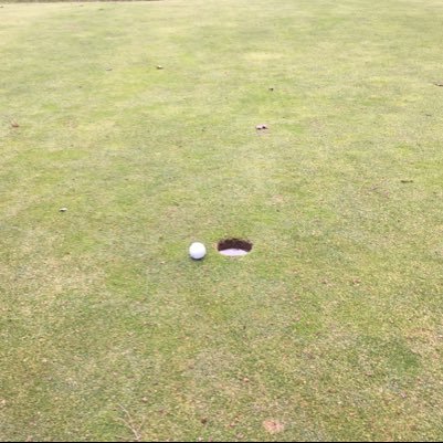 No_fks_givn's profile picture. Canadian Hockey Players US NHL Teams UFC eSports Nova Scotian News Movies Gaming Music News Comedy Memes Holidays Haha Food PGA Weird