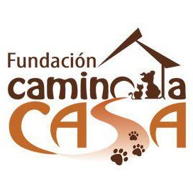 Fundacion Camino a Casa Ecuador