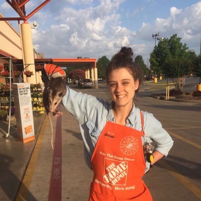 janneesullivan's profile picture. 🐝🐉🌚👽👾                                             CXM The Home Depot 1401                        Tweets are my own 😆