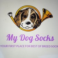 Mydogsocks.com(@mydogsocks) 's Twitter Profile Photo