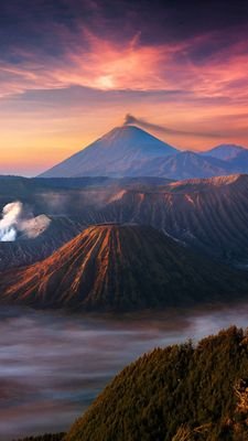 ltnZWcSpsx6PFo3's profile picture. حنين