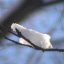 frank storm - @ynot732 - Twitter