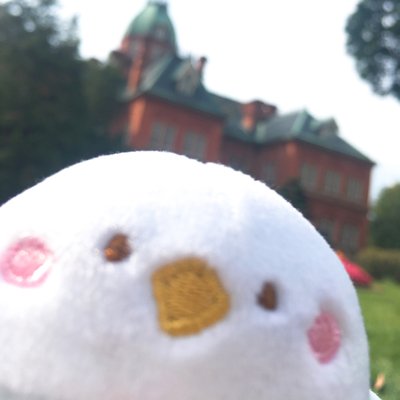 あしゃな