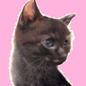 Cinnamonさんのプロフィール画像