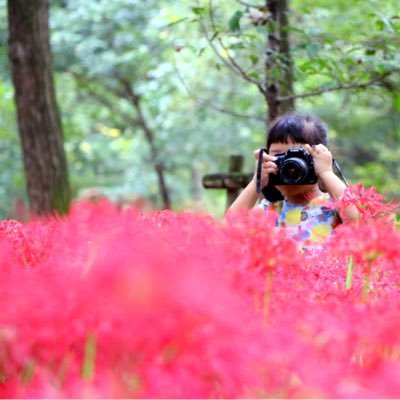 写真と音楽と料理が好き。