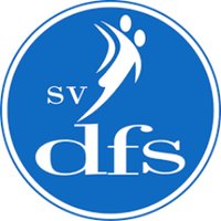 sv DFS Voetbal (@dfsopheusden) 's Twitter Profile