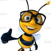 Stinger Bee #NyayForIndia(@joerave) 's Twitter Profileg