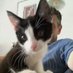 Wiebe van Beek (@wiebebeek) Twitter profile photo Wiebe van Beek (@wiebebeek) Twitter profile photo