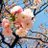 sehashi_yuka