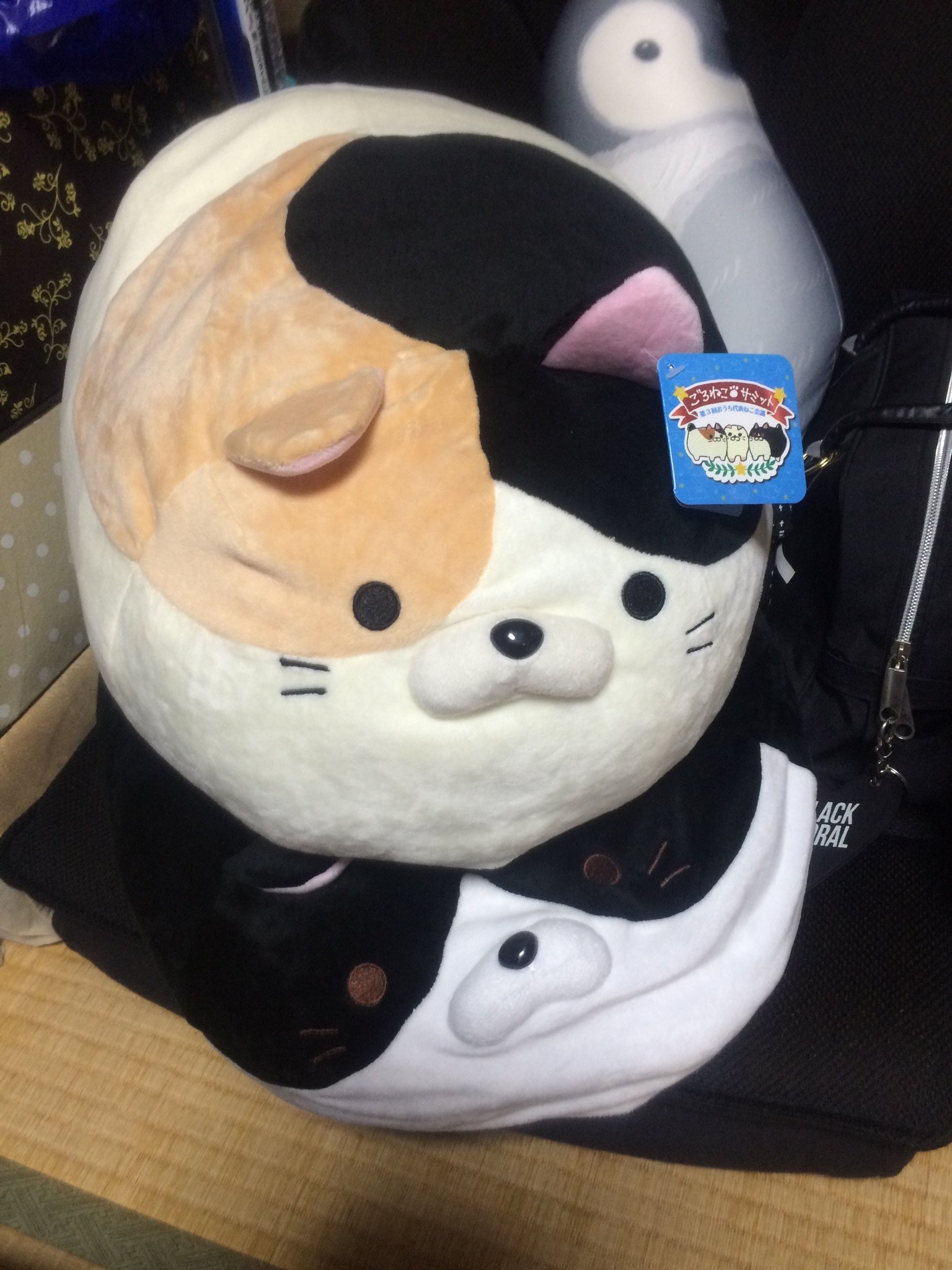 karatamumu's profile picture. 