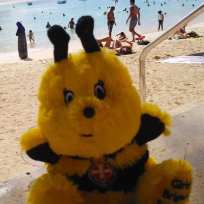 The #Ambassabee for the Buchan Division of Girls’ Brigade Scotland. Follow me to see what I am getting up to in GBs 125th year!