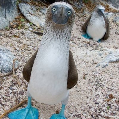 おみぎり タスク品を渡そうと思ったら 228 Itemsmovingっていうエラーが出て渡せないんだが Eft Eftフレンド募集 タルコフ おみぎり タスク品を渡そうと思ったら 228 Itemsmovingっていうエラーが出て渡せないんだが Eft Eftフレンド募集 タルコフ
