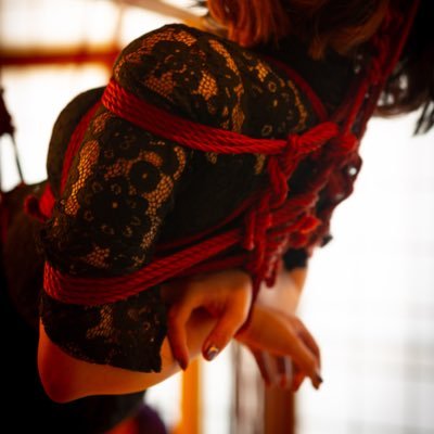 tatsu_syu0224's profile picture. 探検隊１号 普段は真面目なサラリーマンだが、たまに変態に変身するぞ