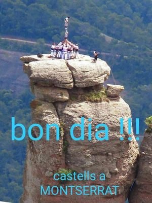 Viure en un país lliure em fa feliç.
Els meus estius: Un estiu a Borneo, Un estiu a Tacugama, Un estiu al Priorat. I ara... Un estiu al Delta!