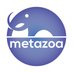 Metazoa (@metazoa) Twitter profile photo