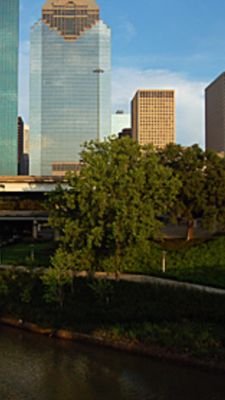 MonitorPolicy's profile picture. Monitoring Houston policy.