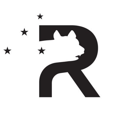 RomabioPaints's profile picture. Authentic Limewash Paint | Exterior Masonry Paints | Interior Mineral Paints