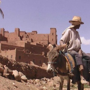 trek morocco desert tour is a travel company based in Morocco and it's managed by Nourddine and his travelling team...
123456789Days tour from Casablanca