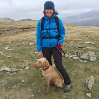 Jo Segasby (@segasbyjo) 's Twitter Profile
