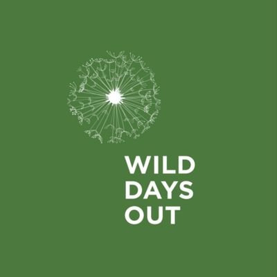 @wilddaysout