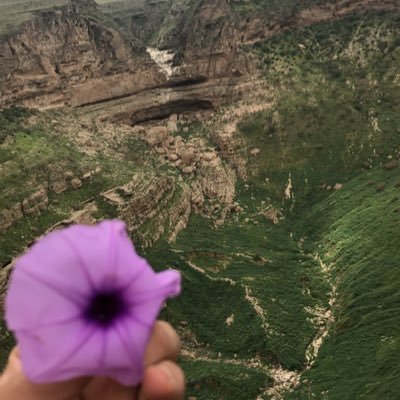 Emad_k96's profile picture. ♥(V.I.P) ♥Birth 15/8/1996 ♥From ♡man ♥The_life_is_strawberry ❤️study at SQU "Mechanical Engineering"