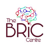 The BRiC Centre(@BC_Resilience) 's Twitter Profile Photo