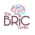 The BRiC Centre (@bc_resilience) Twitter profile photo The BRiC Centre (@bc_resilience) Twitter profile photo