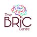 The BRiC Centre (@BC_Resilience) Twitter profile photo