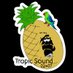 Tropic Sound #SGAFSU🍍🦜 (@tropicsounders) Twitter profile photo