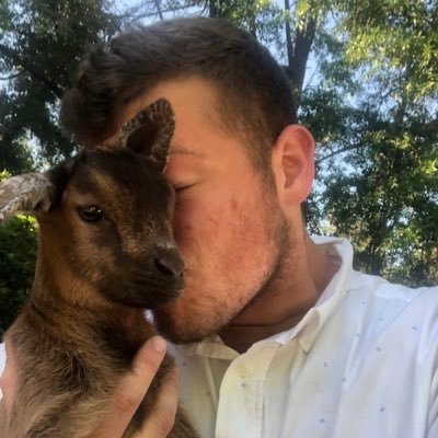 ProbablySamuelD's profile picture. 