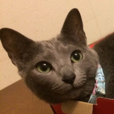 eahiroro's profile picture. 2018年9月17日からEA運用開始。2020年から裁量も開始。